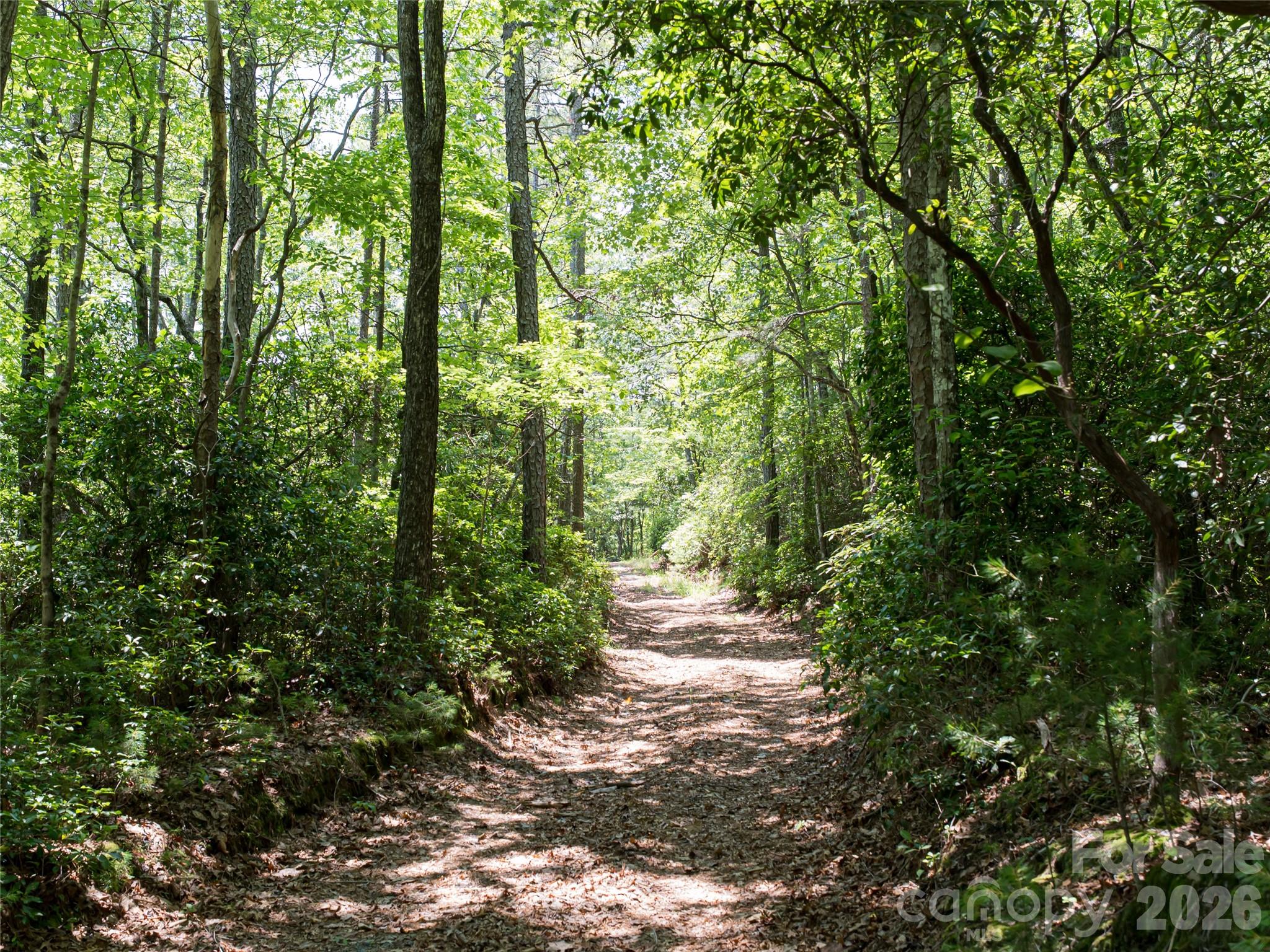 1000 Sutton Creek Road Pisgah Forest NC 28768