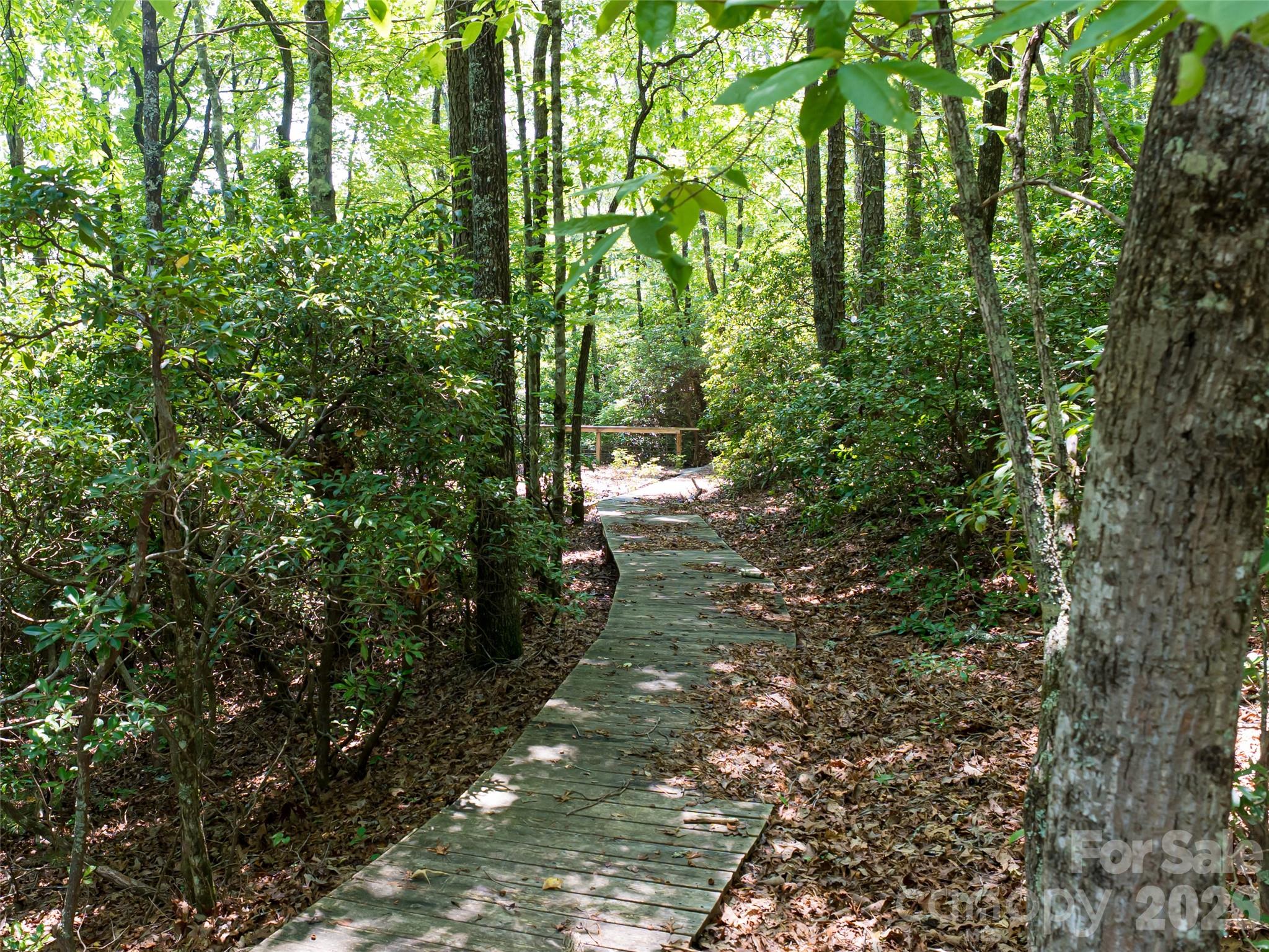 1000 Sutton Creek Road Pisgah Forest NC 28768
