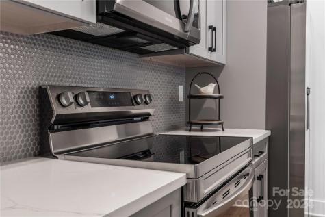 105 Coralroot Lane Arden NC 28704