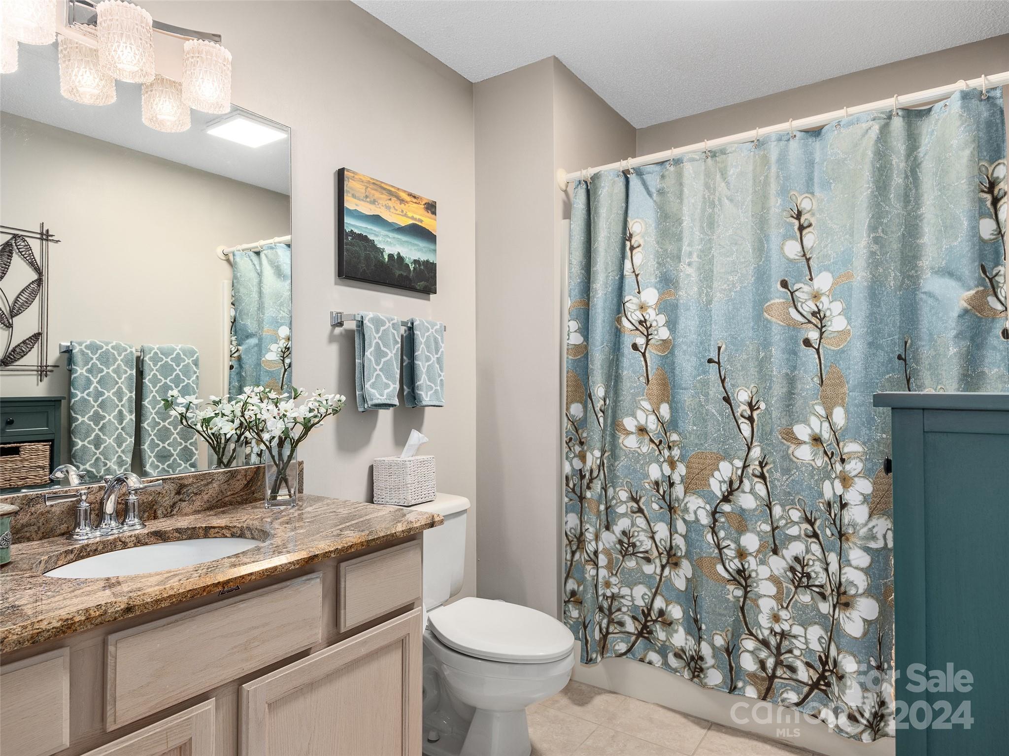 21 Highland Pointe Court Weaverville NC 28787