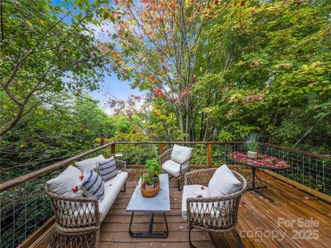 138 S French Broad Avenue Asheville NC 28801