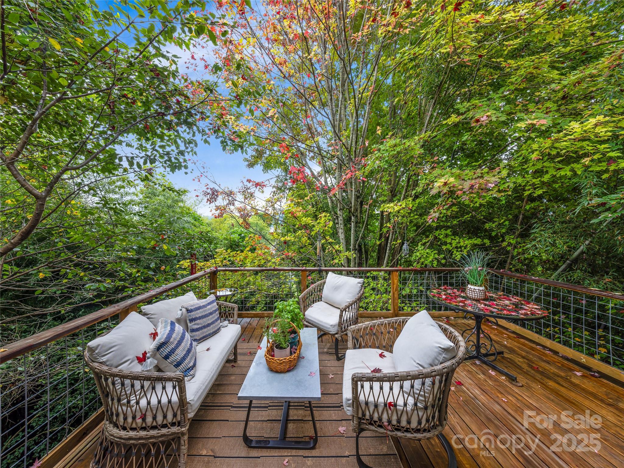 138 S French Broad Avenue Asheville NC 28801