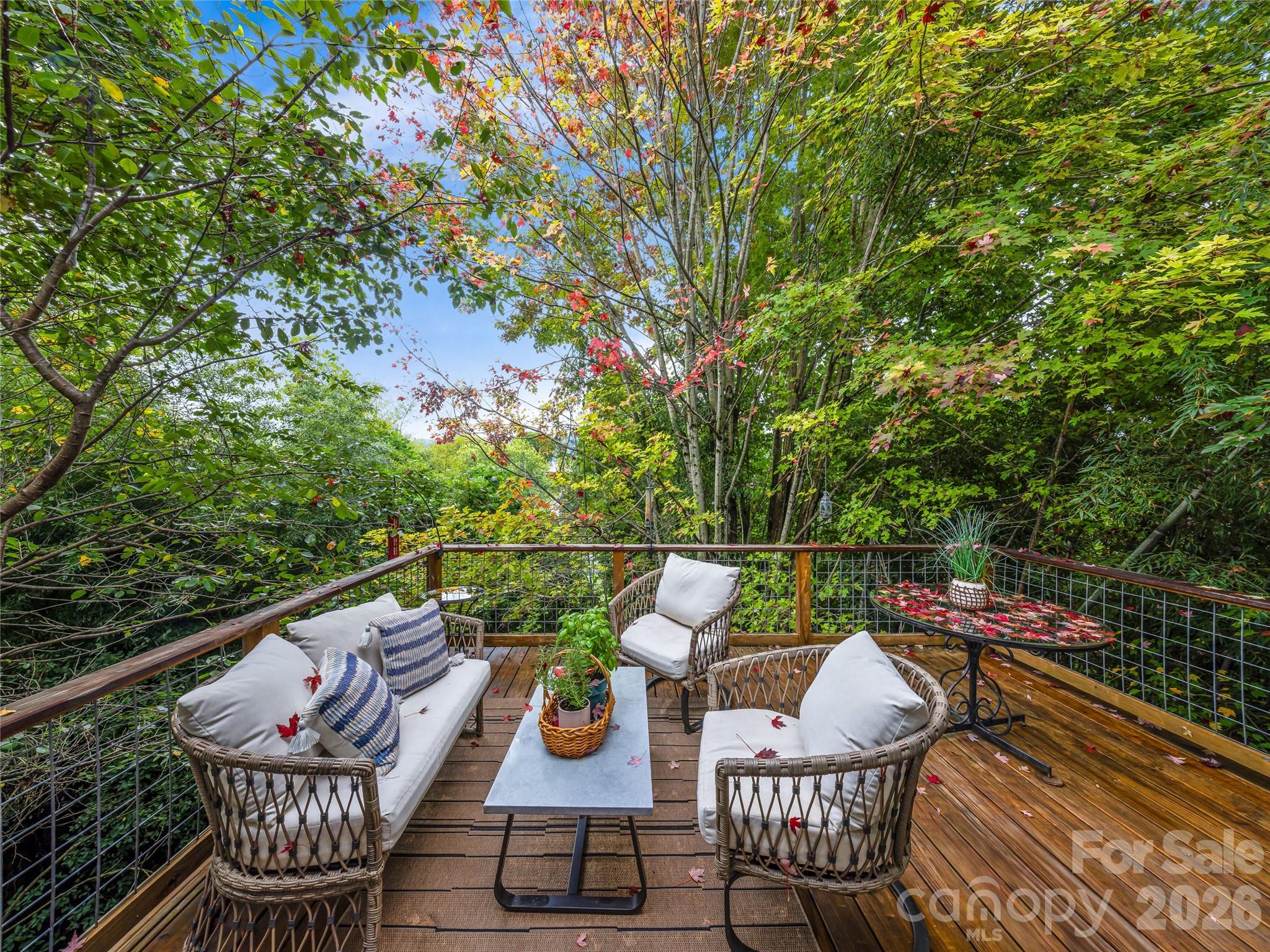 138 S French Broad Avenue Asheville NC 28801