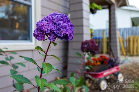 87 Pershing Road Asheville NC 28805