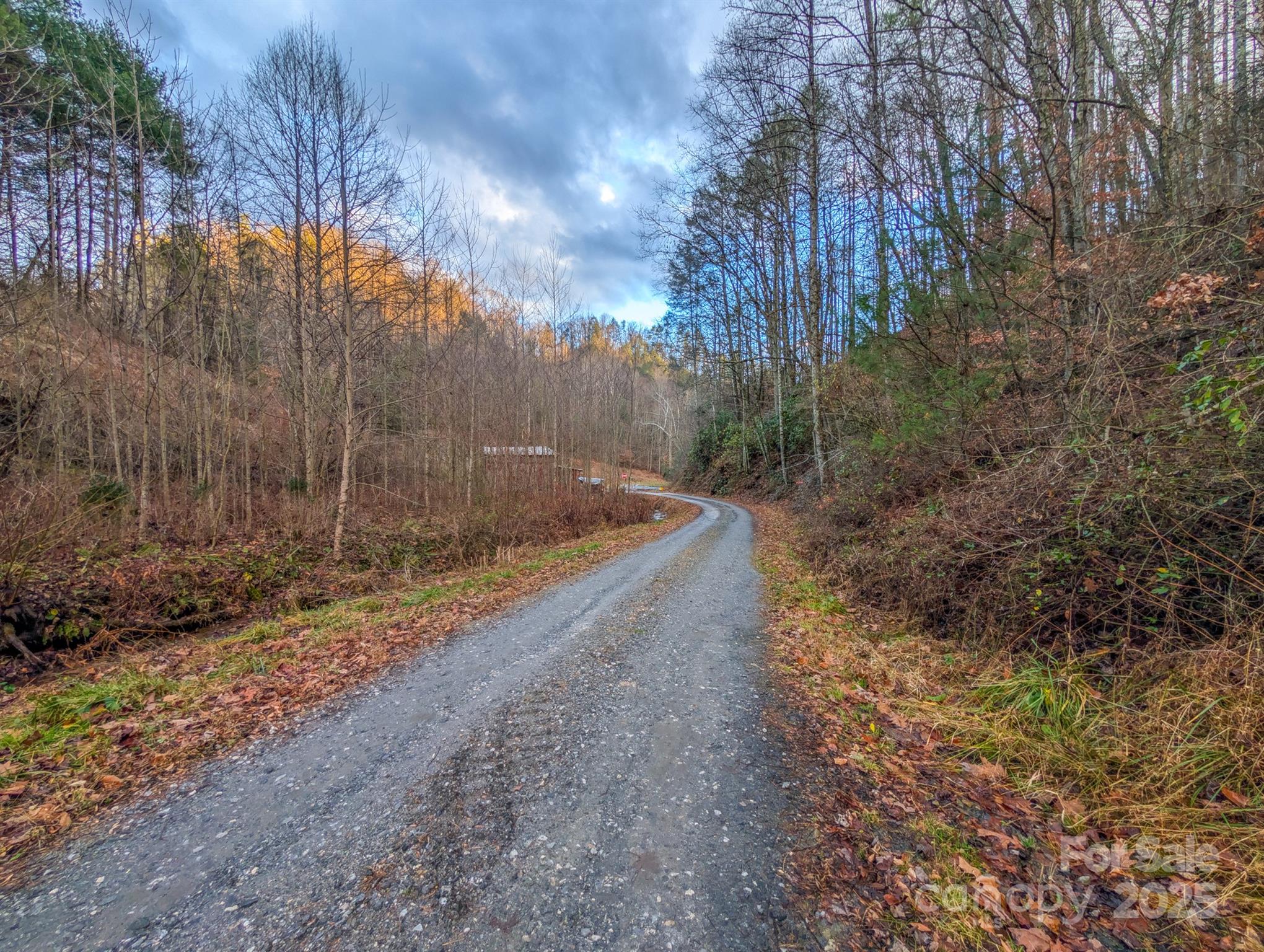 77 Griffith Branch Road Green Mountain NC 28740
