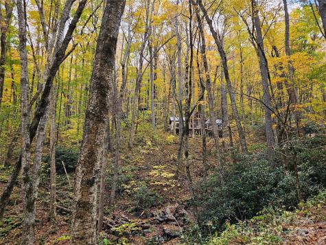 25 Hollow Log Road Burnsville NC 28714
