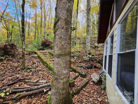 25 Hollow Log Road Burnsville NC 28714
