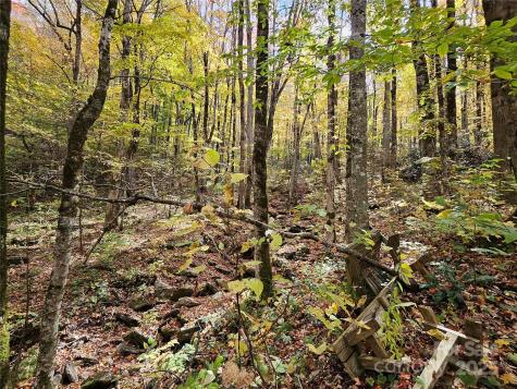 25 Hollow Log Road Burnsville NC 28714