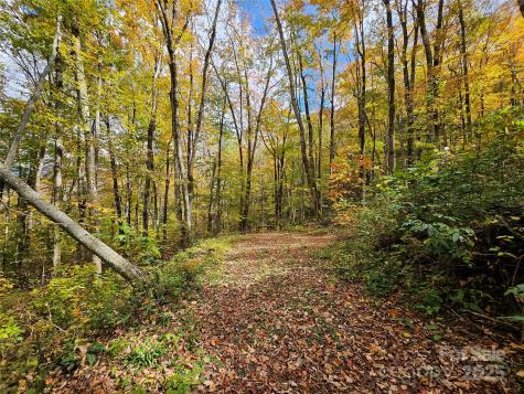 25 Hollow Log Road Burnsville NC 28714