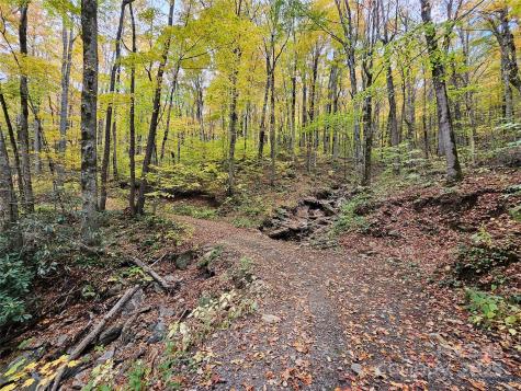 25 Hollow Log Road Burnsville NC 28714