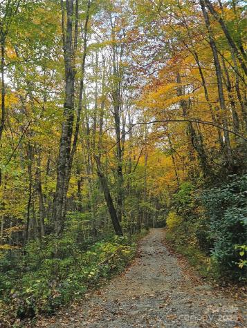 25 Hollow Log Road Burnsville NC 28714