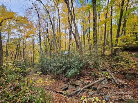 25 Hollow Log Road Burnsville NC 28714