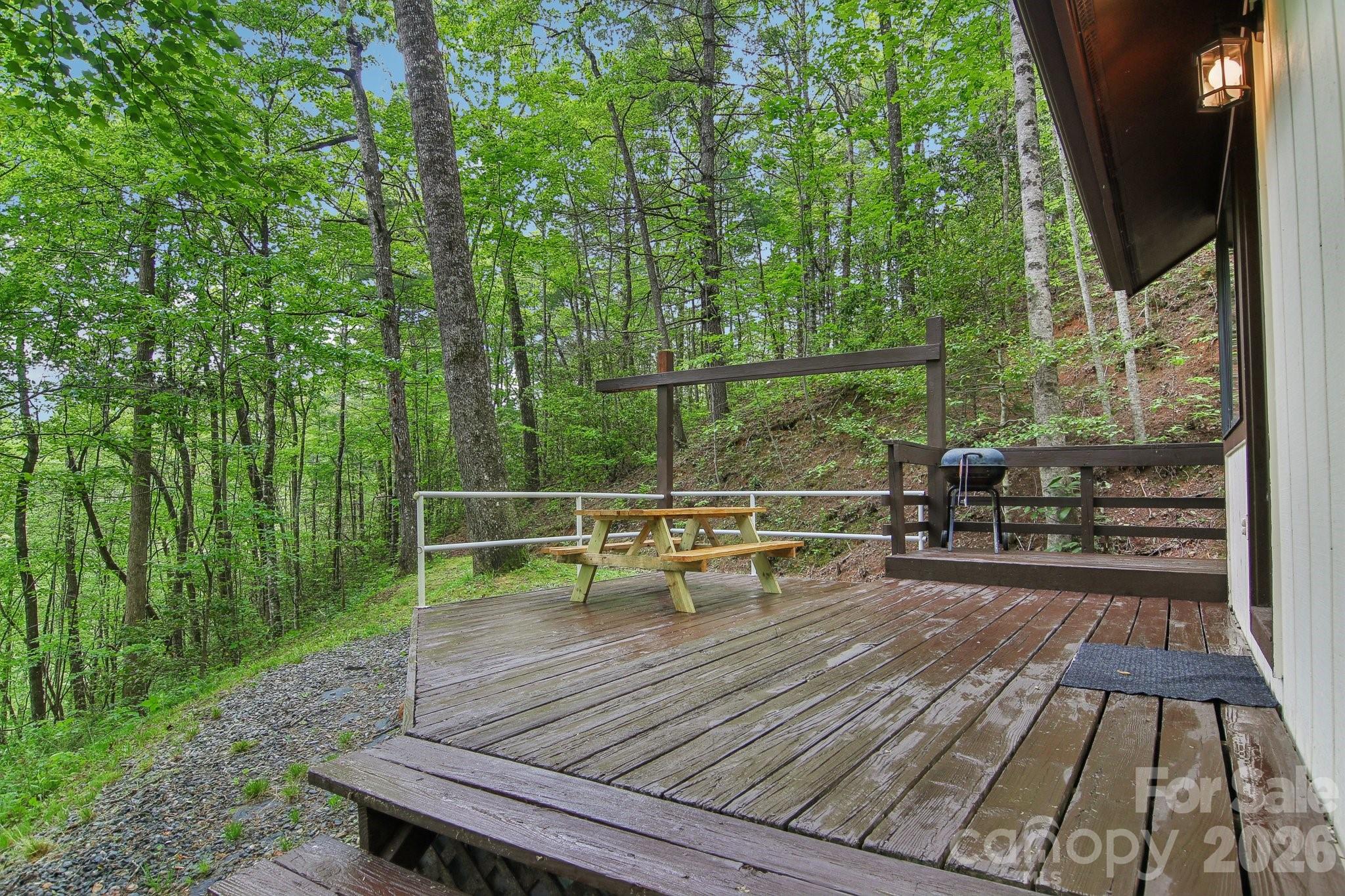 295/291 Dills Road Bryson City NC 28713