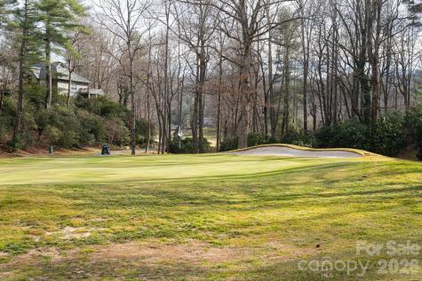 208 Glenroy Court Flat Rock NC 28731