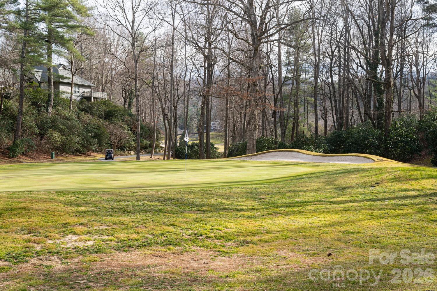 208 Glenroy Court Flat Rock NC 28731