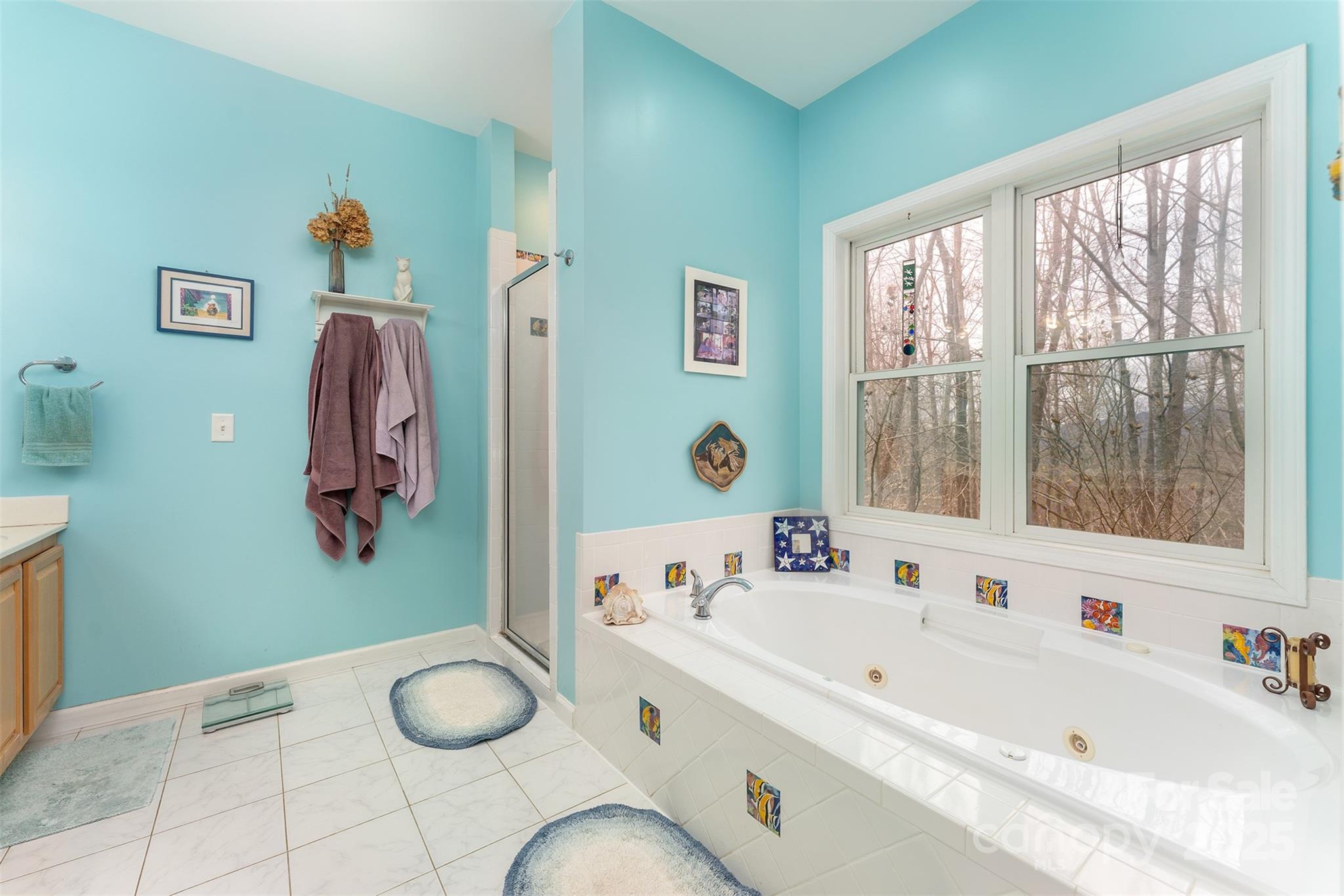 27 Hunting Lodge Drive Black Mountain NC 28711