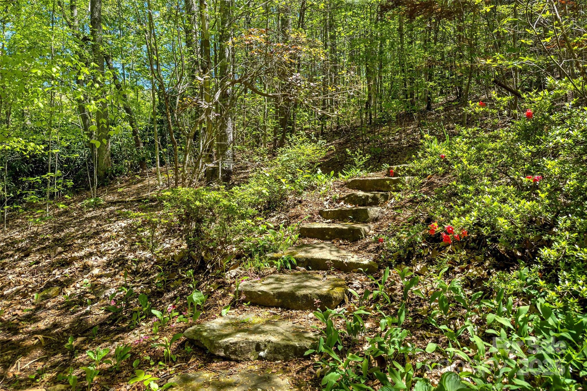 27 Hunting Lodge Drive Black Mountain NC 28711