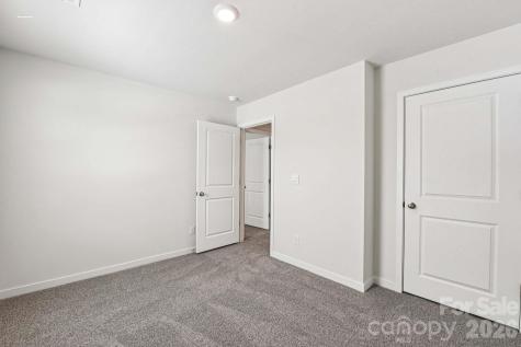 618 Dazzle Loop Newton NC 28658