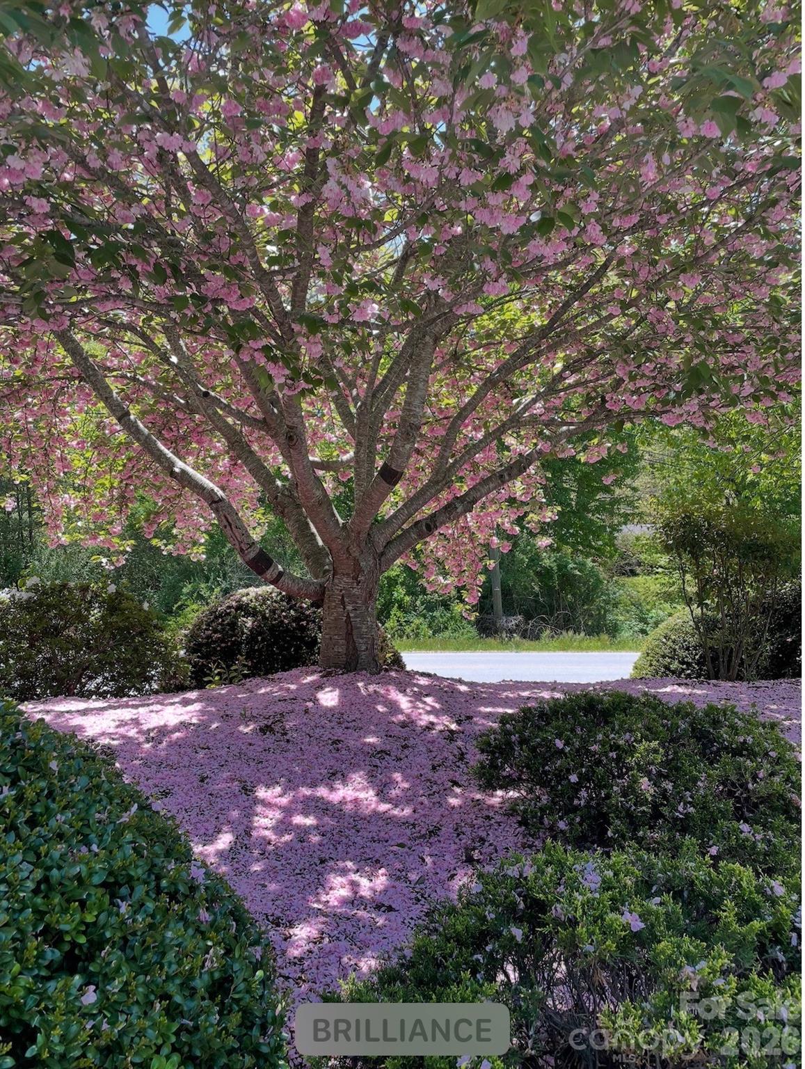 10 Aberdeen Drive Arden NC 28704