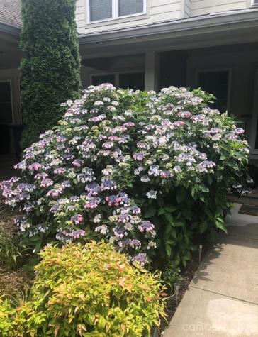 10 Aberdeen Drive Arden NC 28704