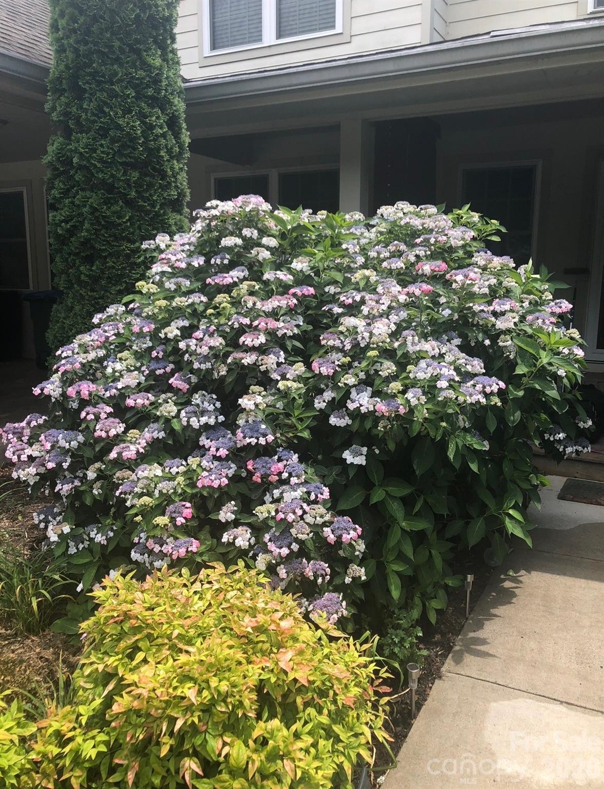 10 Aberdeen Drive Arden NC 28704