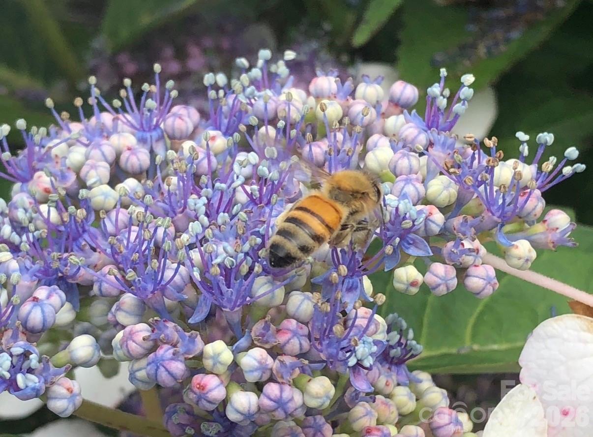 10 Aberdeen Drive Arden NC 28704