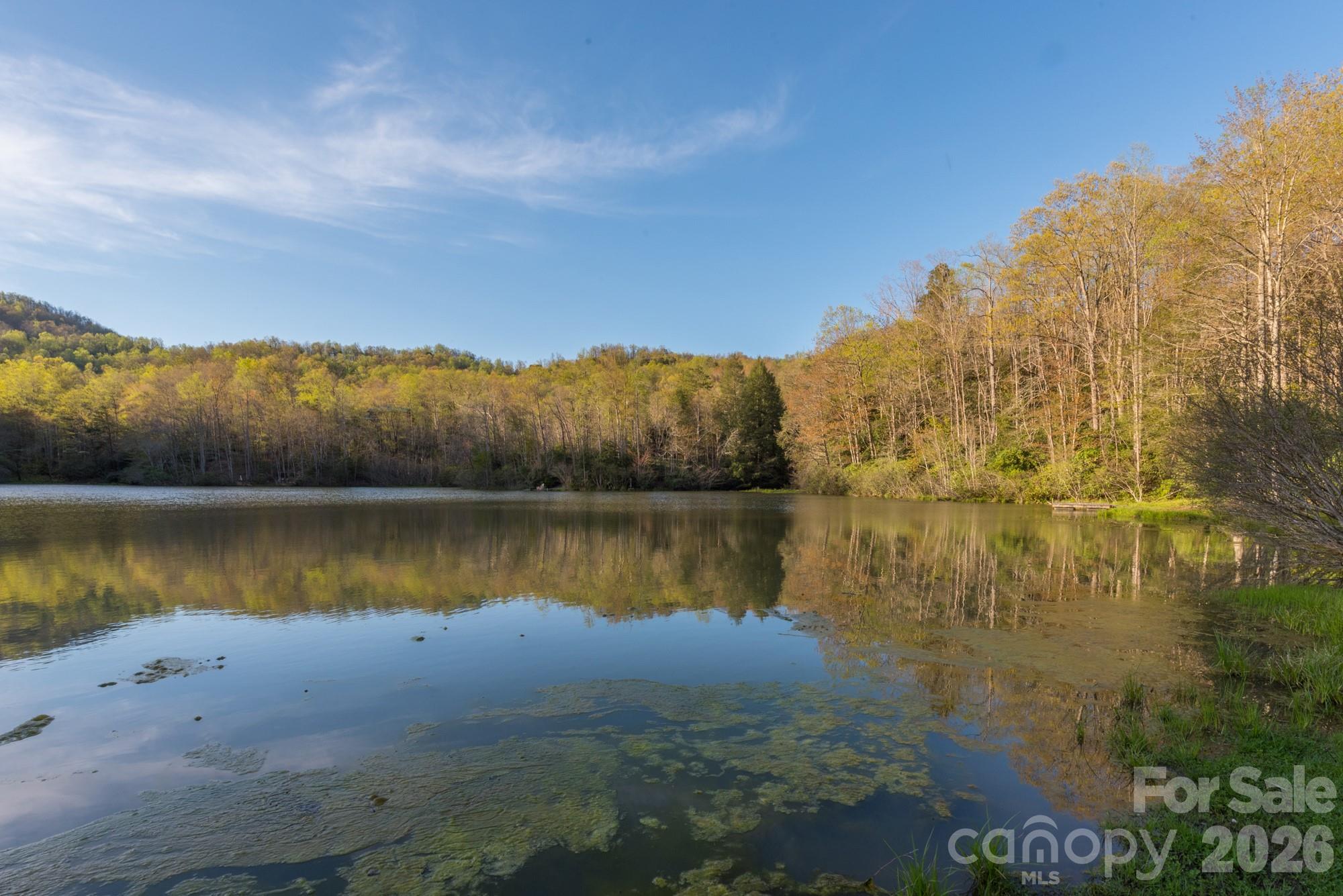 1795 Mckenzie Way N Old Fort NC 28762