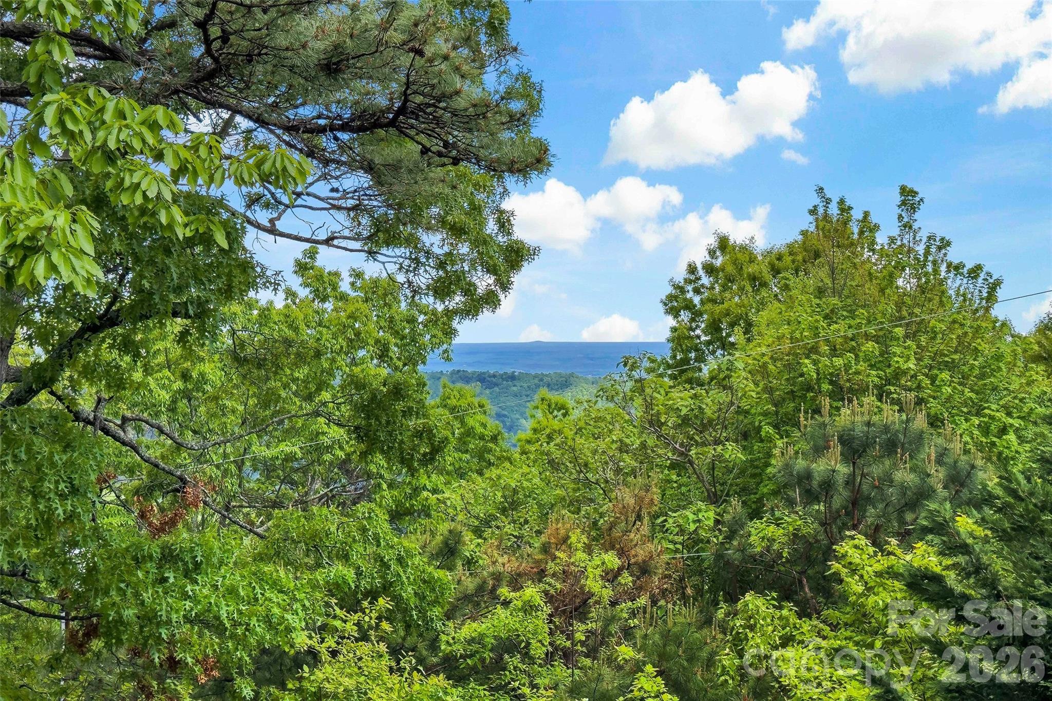 1795 Mckenzie Way N Old Fort NC 28762