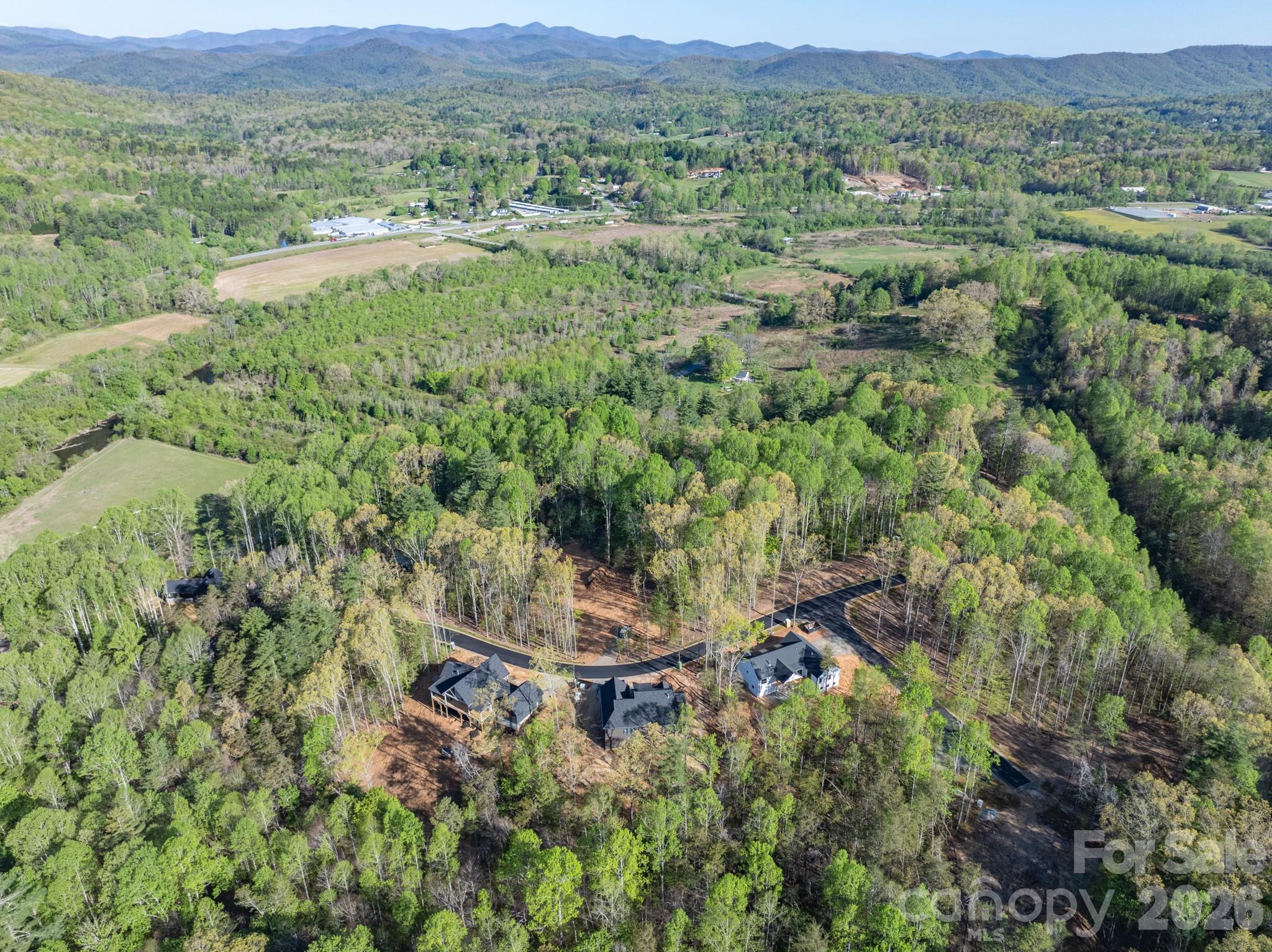 20 Nature Walk Lane Hendersonville NC 28739