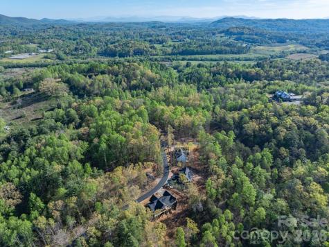 20 Nature Walk Lane Hendersonville NC 28739