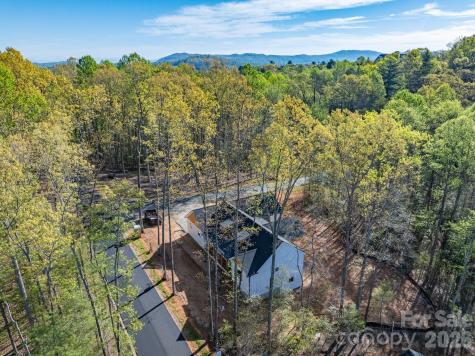 20 Nature Walk Lane Hendersonville NC 28739