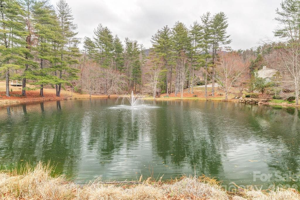 70 Forest Lake Drive Asheville NC 28803