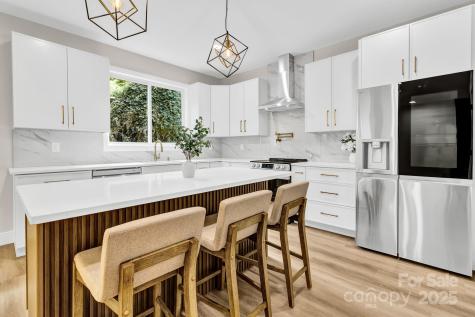 19 Lamar Avenue Asheville NC 28803