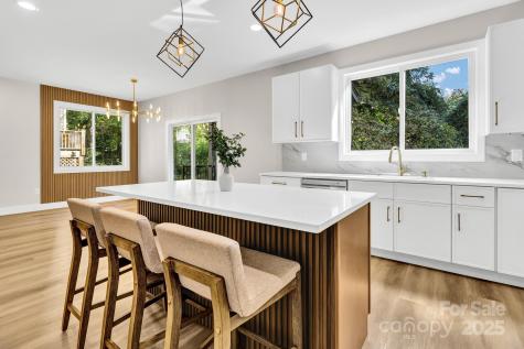 19 Lamar Avenue Asheville NC 28803