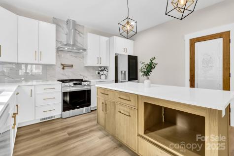 19 Lamar Avenue Asheville NC 28803