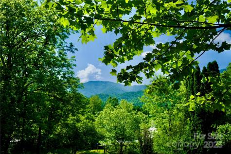 38 Buchanan Hill Road Bakersville NC 28705