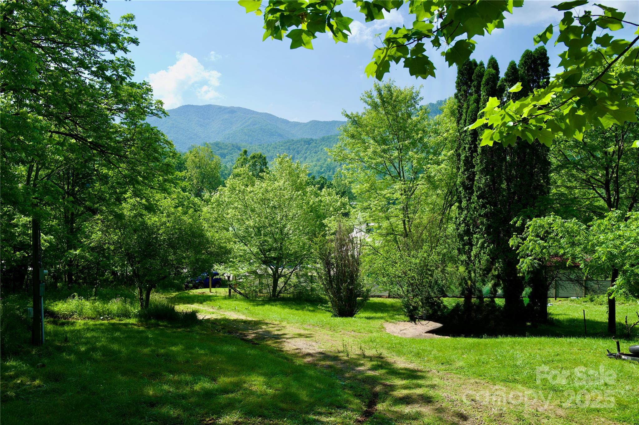 38 Buchanan Hill Road Bakersville NC 28705