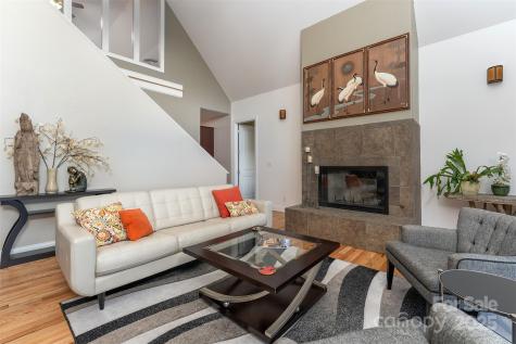 18 Timber Moss Drive Asheville NC 28804