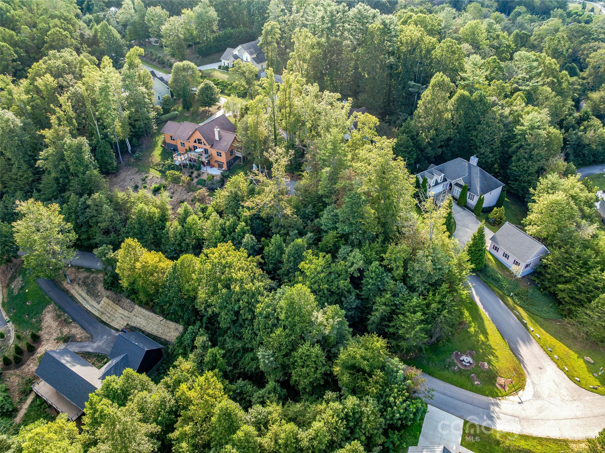 18 Timber Moss Drive Asheville NC 28804