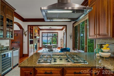8 Timberwolf Court Asheville NC 28804