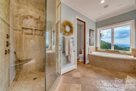 8 Timberwolf Court Asheville NC 28804