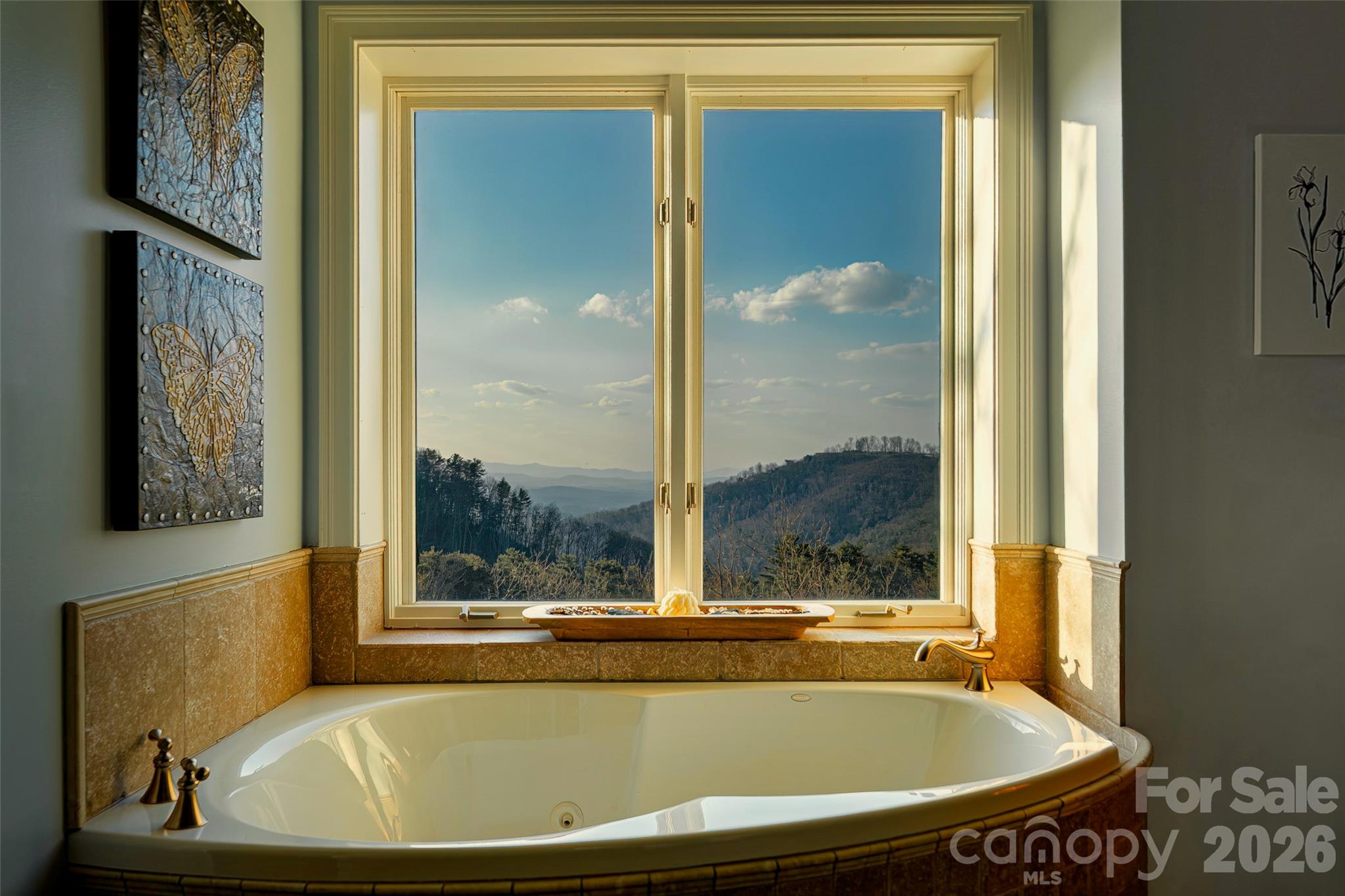 8 Timberwolf Court Asheville NC 28804