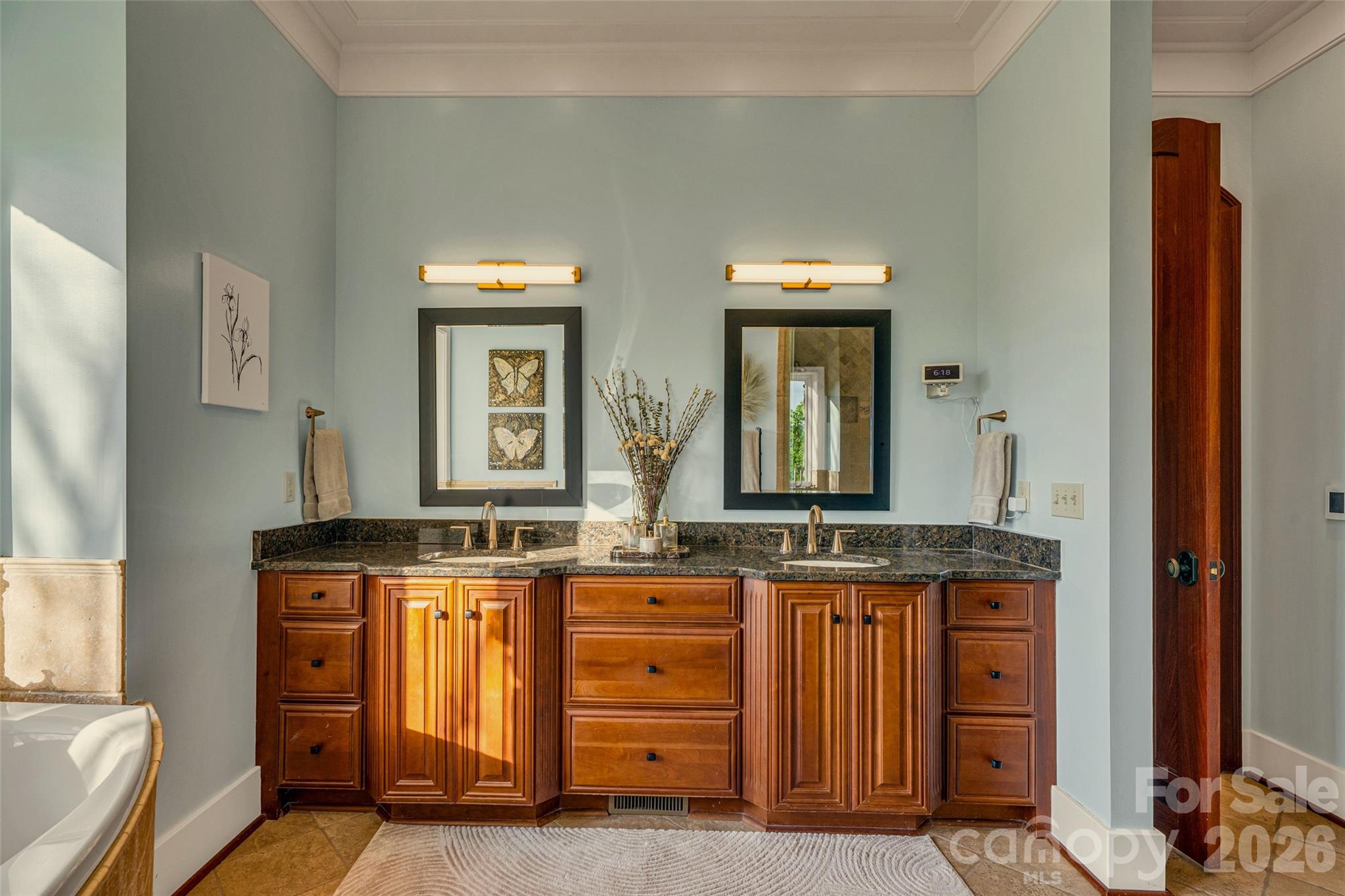 8 Timberwolf Court Asheville NC 28804