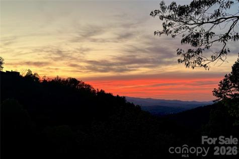 8 Timberwolf Court Asheville NC 28804