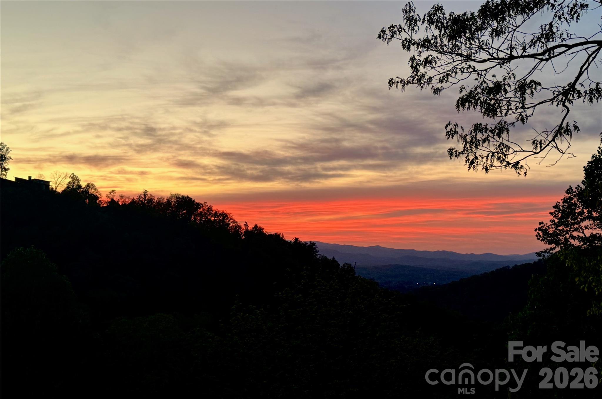 8 Timberwolf Court Asheville NC 28804
