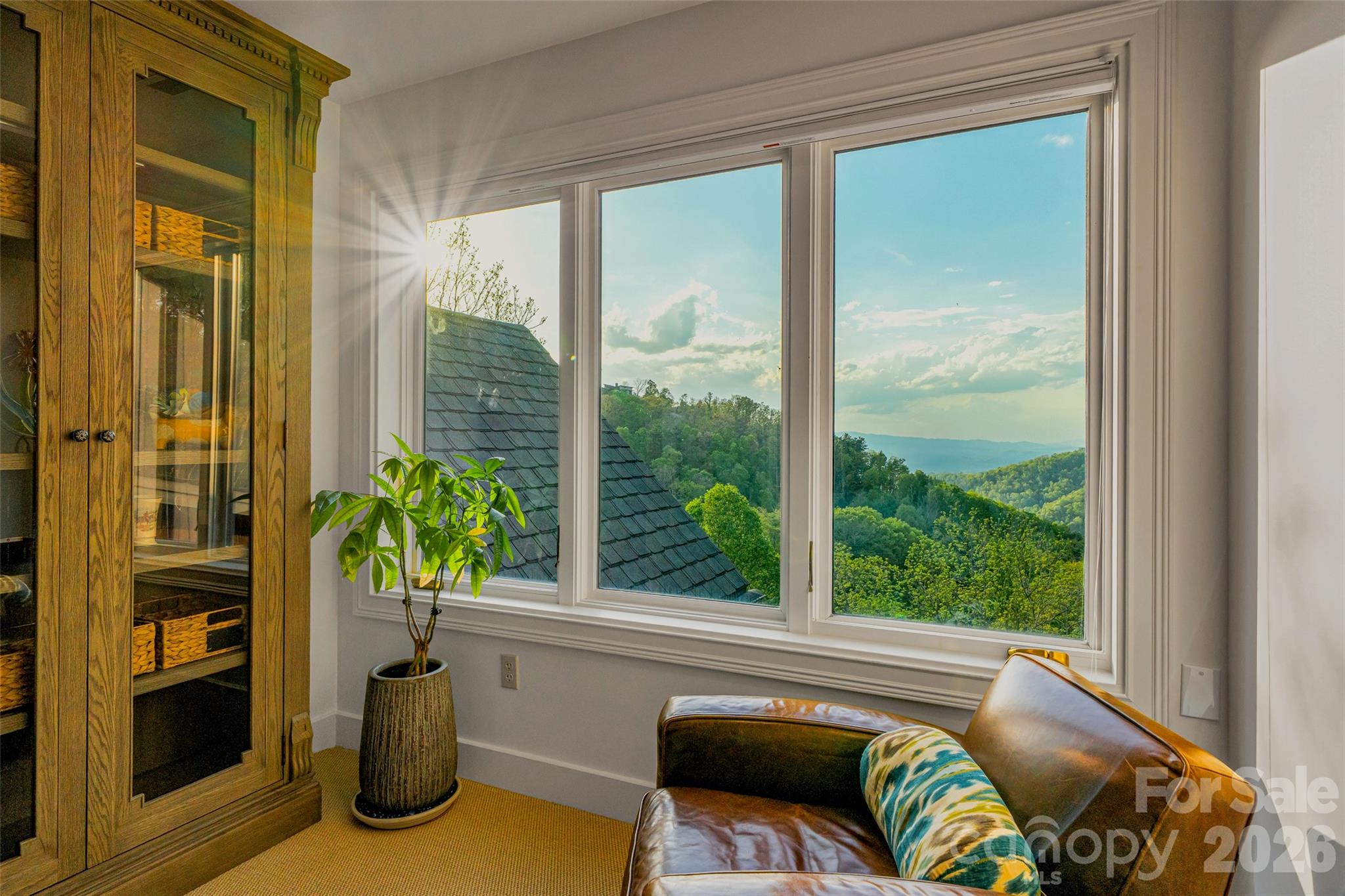 8 Timberwolf Court Asheville NC 28804
