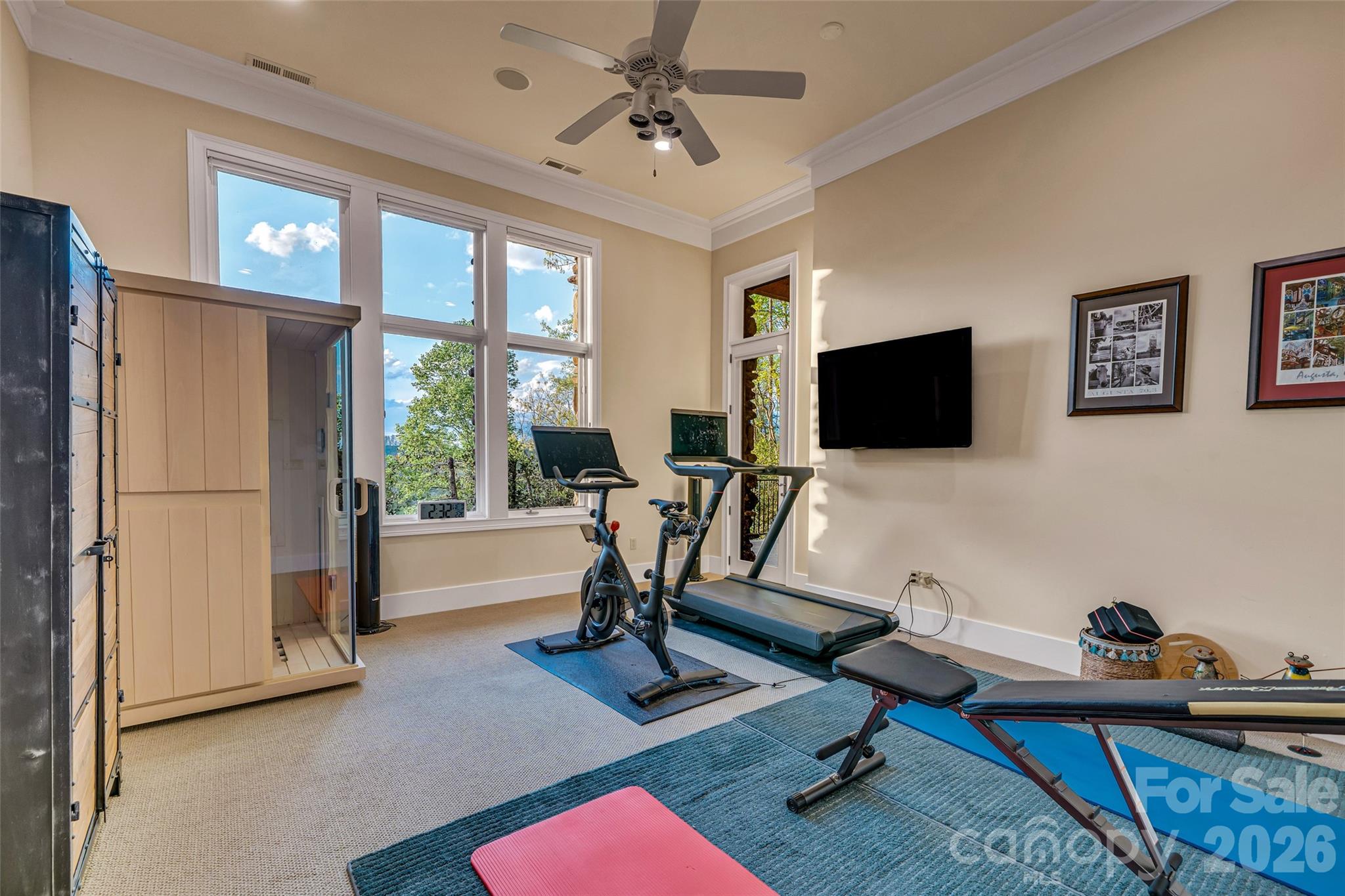 8 Timberwolf Court Asheville NC 28804