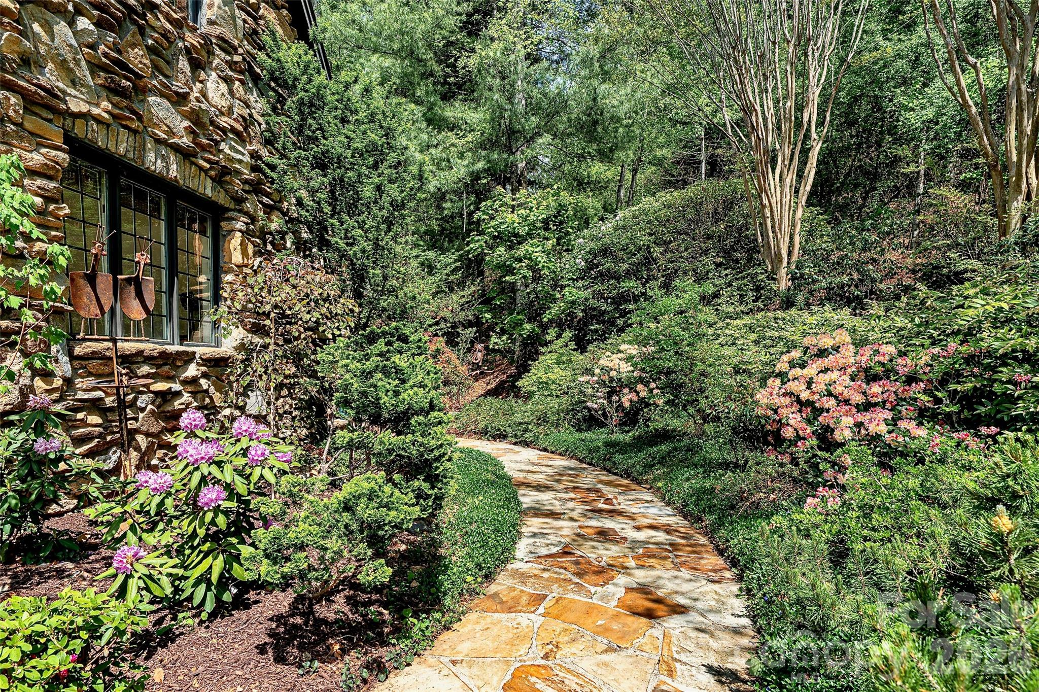 8 Timberwolf Court Asheville NC 28804