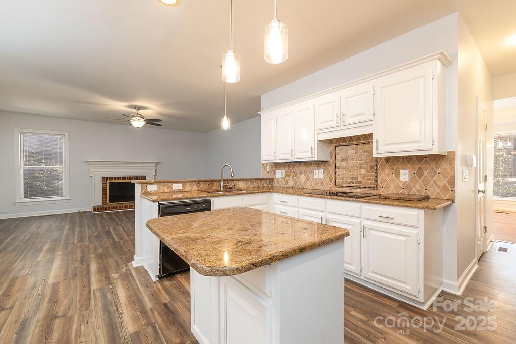 5238 Downing Creek Drive Charlotte NC 28269