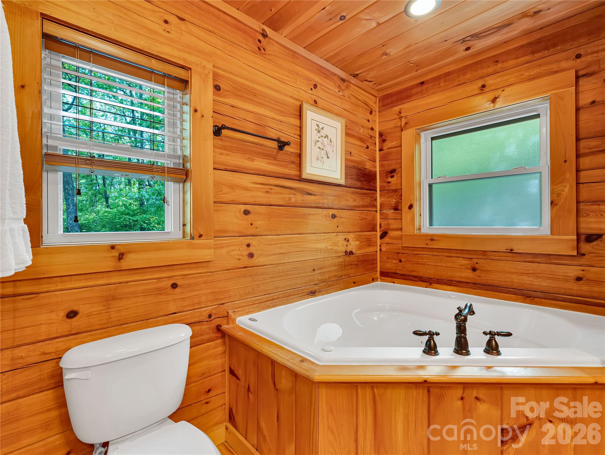 586 Tanglewood Lane Saluda NC 28773